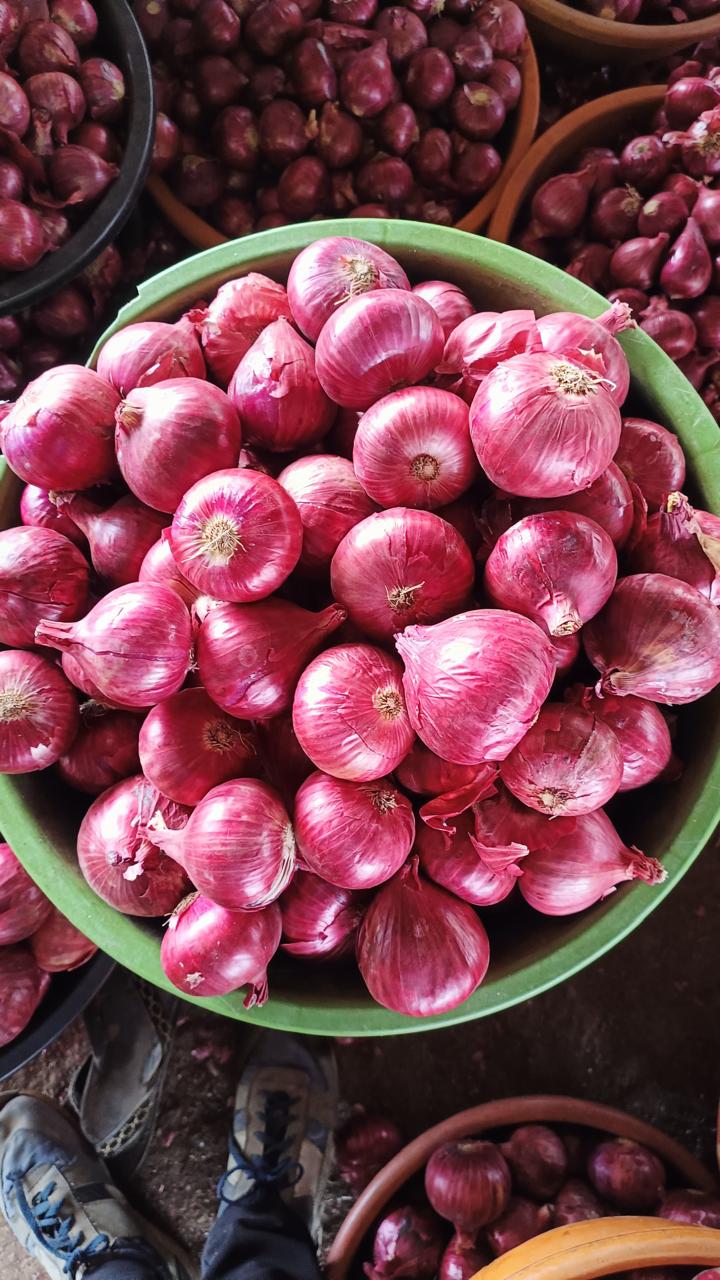 WhatsApp Image 2025-06-03 at 7.24.22 PM (1).jpeg